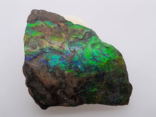 Load image into Gallery viewer, Loose Ammolite Piece 46g