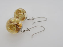 Load image into Gallery viewer, Preserved Star Flower Earrings