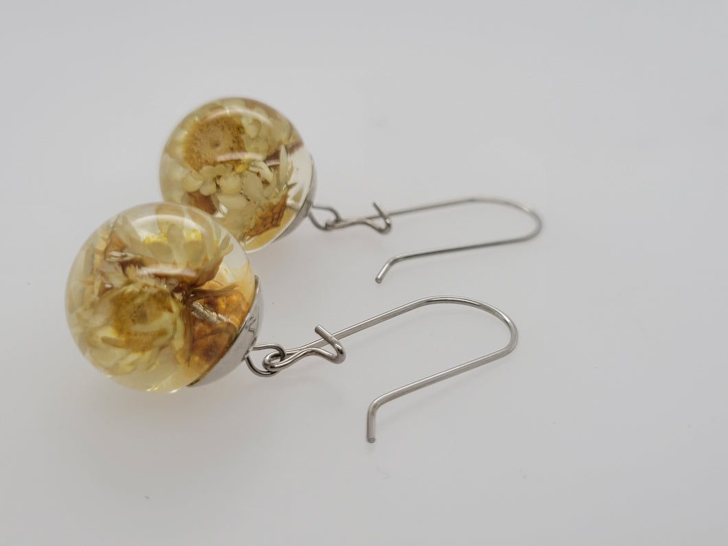 Preserved Star Flower Earrings