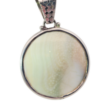 Load image into Gallery viewer, Sterling Snail Shell Necklace - Rubber Cord