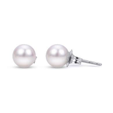14k White Gold 3-8mm Akoya Studs - A Quality