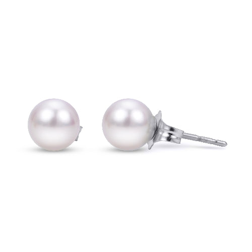 14k White Gold 3-8mm Akoya Studs - A Quality