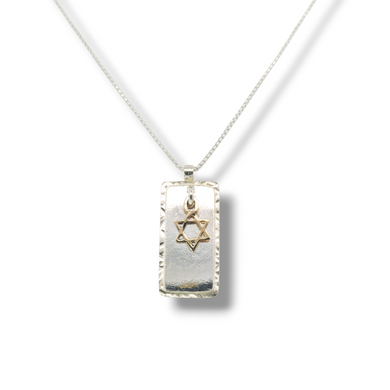 Sterling Silver Necklace with Gold Star of David