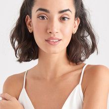 Load image into Gallery viewer, Luxe Huggie Hoop Earrings