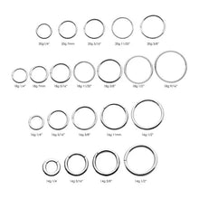 Load image into Gallery viewer, Surgical Steel Basic Hinged Segment Ring