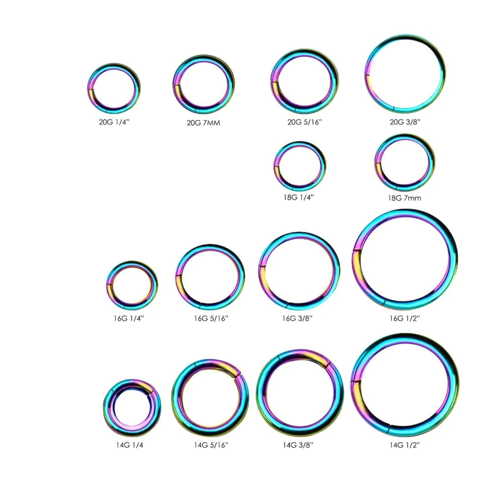 Rainbow Titanium PVD Hinged Segment Rings