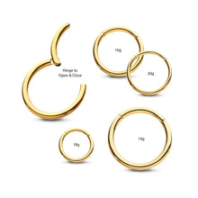 Load image into Gallery viewer, 24KT Gold PVD Titanium Hinged Segment Clicker