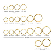 Load image into Gallery viewer, 24KT Gold PVD Titanium Hinged Segment Clicker