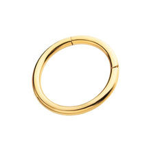 Load image into Gallery viewer, 24KT Gold PVD Titanium Hinged Segment Clicker