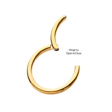 Load image into Gallery viewer, 24KT Gold PVD Titanium Hinged Segment Clicker