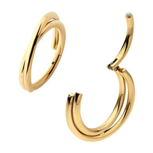 Load image into Gallery viewer, 24Kt Gold PVD Titanium Double Hoop Side Facing Hinged Segment Clicker