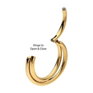 24Kt Gold PVD Titanium Double Hoop Side Facing Hinged Segment Clicker