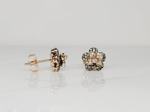 14KP 1/2 CTW White and Chocolate Diamond Flower Earrings