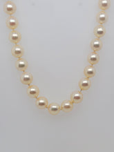 Load image into Gallery viewer, 14KY Estate Pearl Necklace