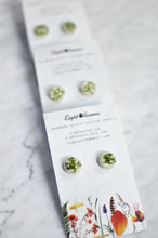Load image into Gallery viewer, Moss stud earrings