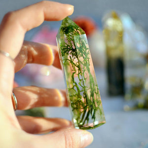 Moss terrarium, Natural crystal point