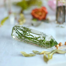Load image into Gallery viewer, Moss terrarium, Natural crystal point