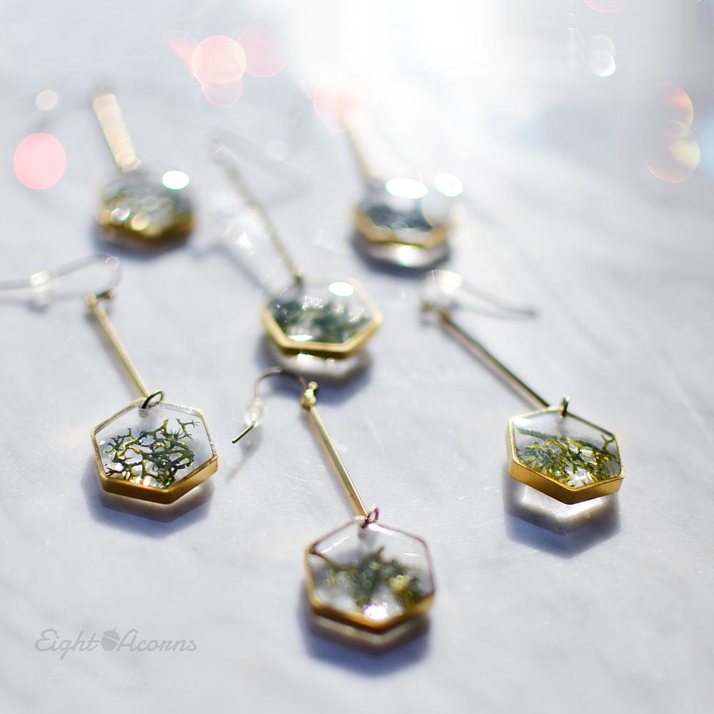 HONEYCOMBERS preserved moss dangles