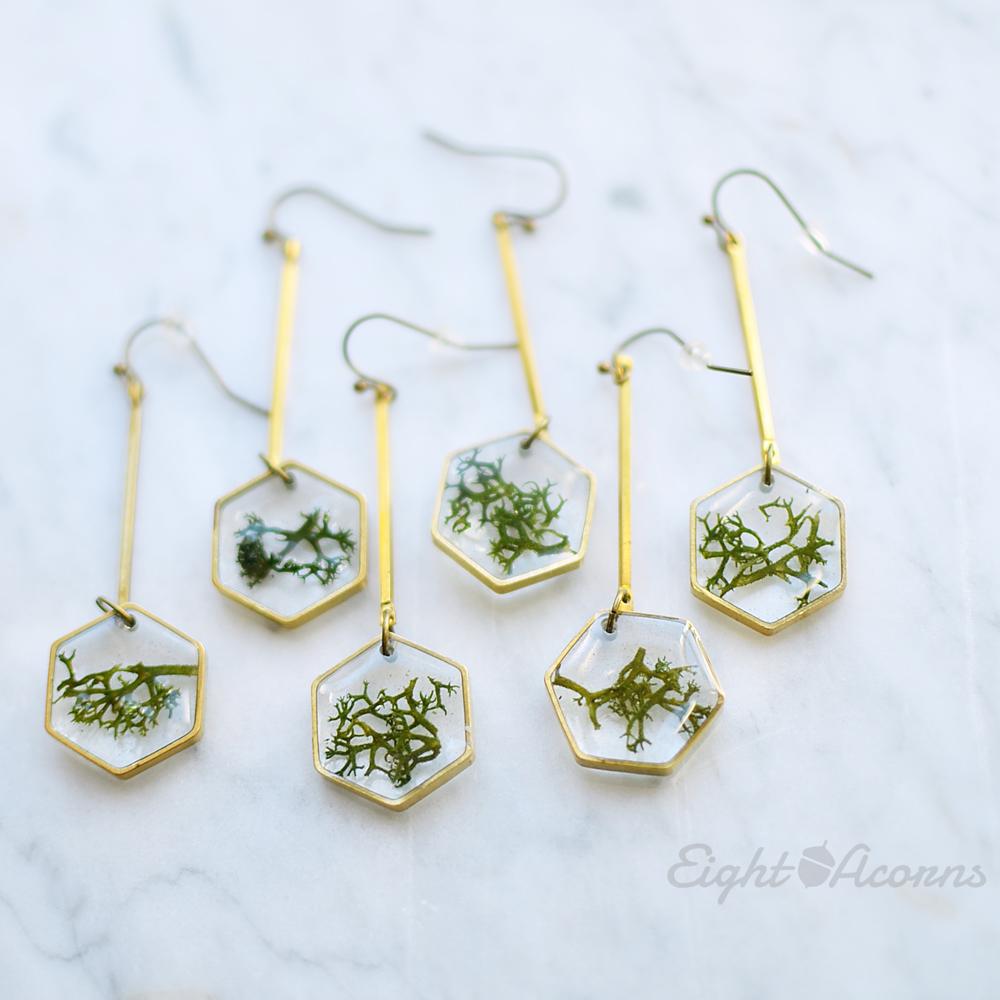 HONEYCOMBERS preserved moss dangles