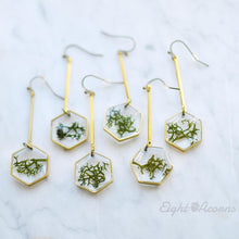 Load image into Gallery viewer, HONEYCOMBERS preserved moss dangles