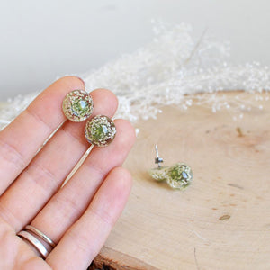 Floral stud earrings - real queen anne's lace