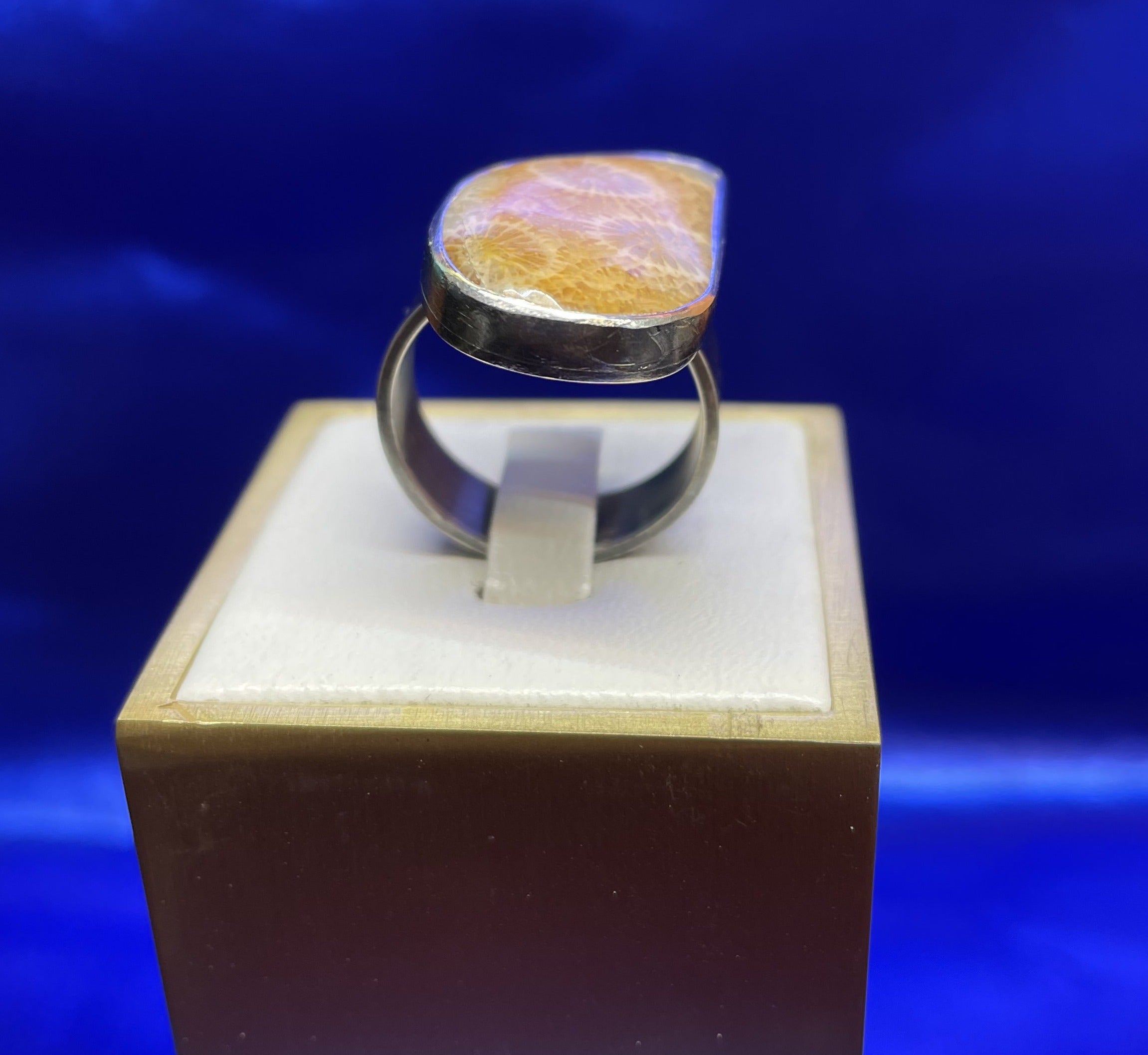 Fossil Coral Orange Ring