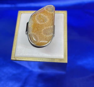 Fossil Coral Orange Ring