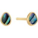 Load image into Gallery viewer, Gold Tidal Abalone Stud Earrings